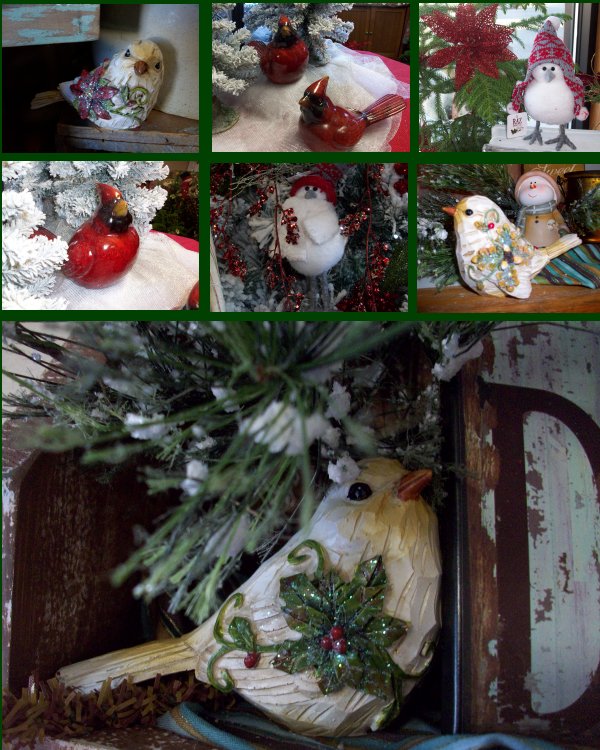 Bird Collection