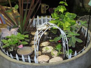 Fairy Garden