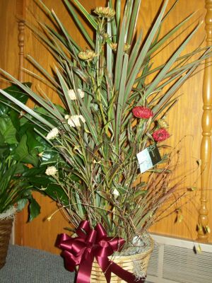 Funeral Plant